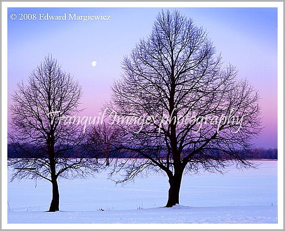 450502---A predawn moonset at Stoney Creek Park 